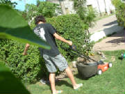 Activo