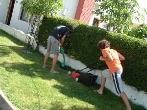 Working